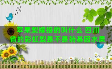 苹果梨嫁接的叫什么 四川省的彩虹梨是不是转基因水果